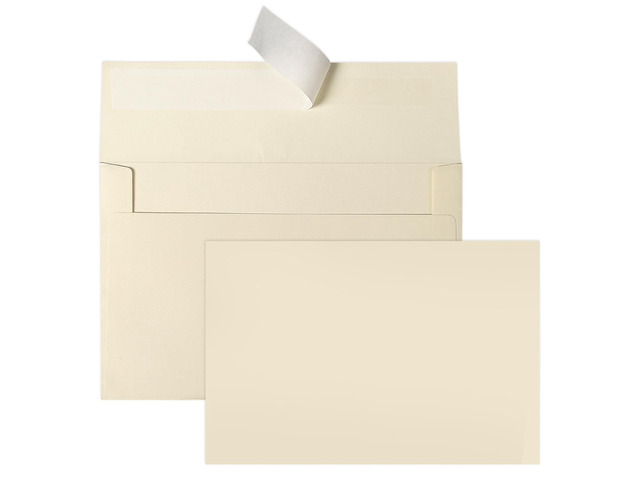 Ivory Blank Cards and Envelopes 4x6 (Not-Folded) 100 Pack Cream Flat Note Cards 4x6 and A6 Envelopes Self Seal for Wedding, Invitations, DIY...