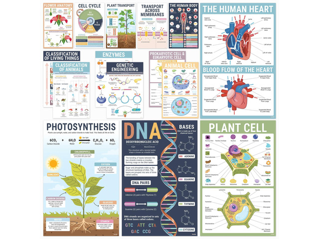 Biology Posters for Classroom, 15 Pack 11x17 Science Charts Laminated Educational Biology Charts for Middle & High School - Decor for Hallways,...