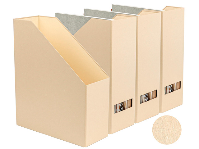 Magazine Holder - File Holder and Desk Organizer, Paperboard Book Organizer and Storage Box for Documents, Magazine Holder Rack for Classroom,...