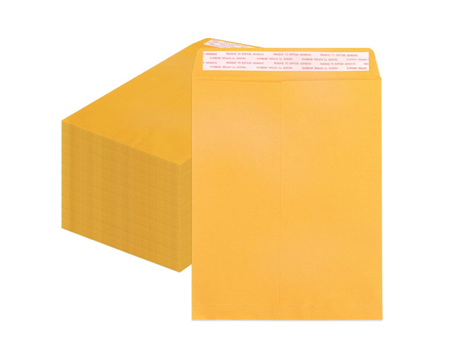100 Pack 14x18 inch Manilla Envelopes Peel & Seal Closure, Extra Large Mailing, For T-Shirts, Books, Office Papers, Storing Legal Documents Without...