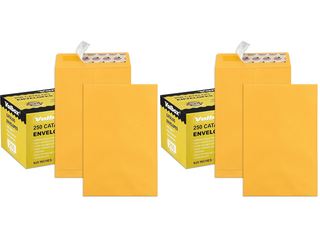 6x9 Self Seal Catalog Security Envelopes 250 Count Small Brown Kraft Envelopes for Mailing, Storage and Organizing (Pack of 2)