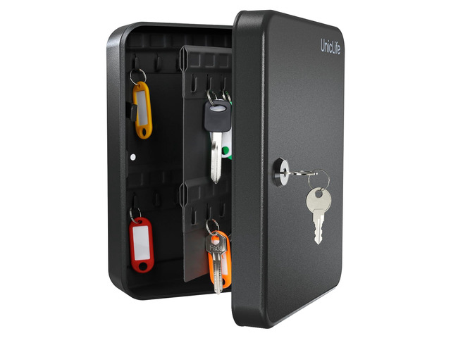 48-Key Steel Key Cabinet with 2 Unlocking Keys Wall Mounted Key Organizer Black Frosted Security Box with Hooks and Key Tag Labels Identifiers in 9...