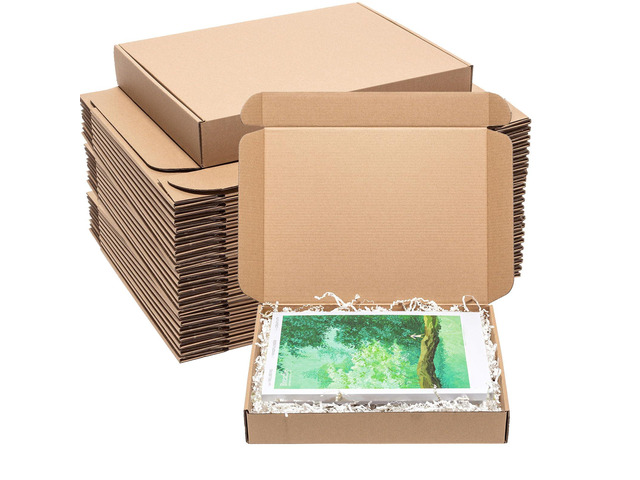 Shipping Boxes 12x9x2' 30 Pack Brown Corrugated Cardboard Mailer Kraft Medium Literature Mailer Packaging Supplies, Mailing Boxes for Small Business