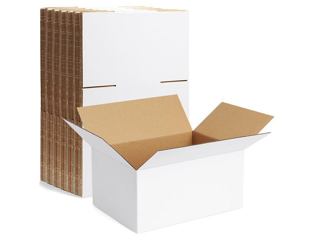 10 Pack 8x6x4 Inch Small Shipping Boxes White Corrugated Cardboard Boxes Mailer for Small Business, Mailing Boxes for Packaging Bulk