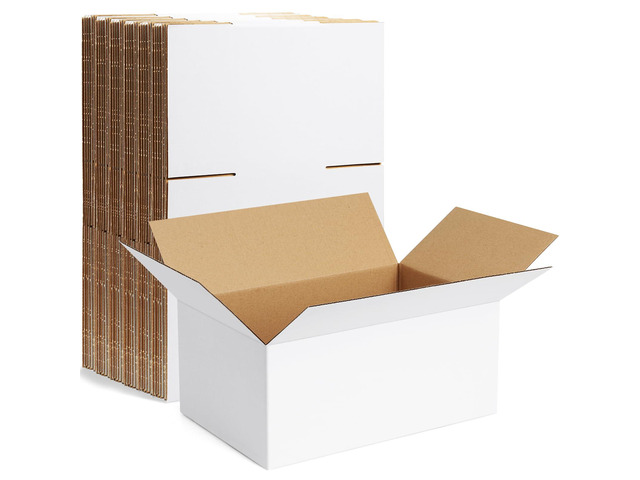 10 Pack 9x6x4 Inch Small Shipping Boxes White Corrugated Cardboard Boxes Mailer for Small Business, Mailing Boxes for Packaging Bulk