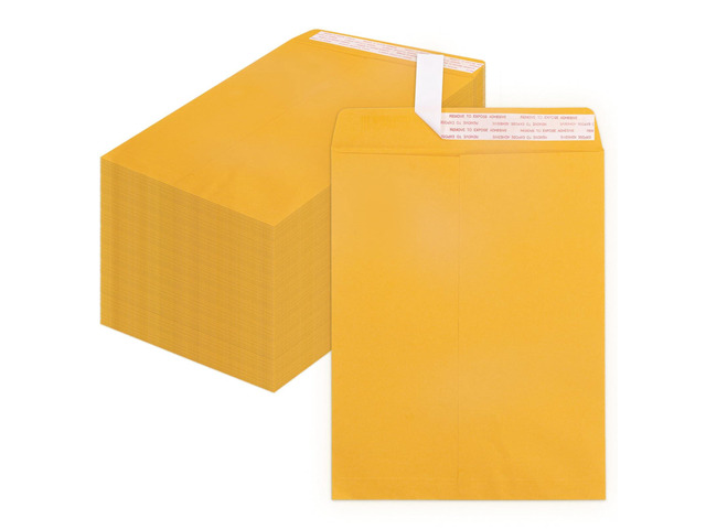 250 Pack 10x13 Manilla Envelopes Self Seal, Yellow Brown, 100 GSM Paper, Peel & Seal Closure, For Mailing, Organizing and Storage