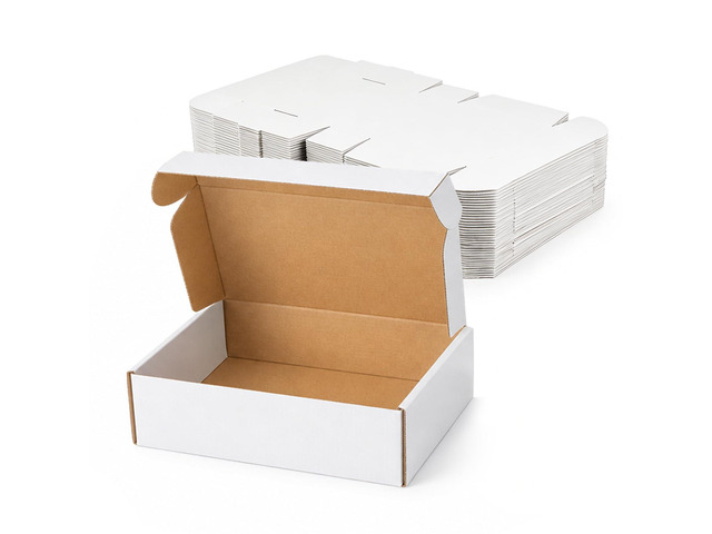 20 Pack 12x9x4 Inch White Shipping Boxes, Corrugated Cardboard Mailer Boxes for Small Business Packaging, Easy-to-Fold Design for Mailing, Gift...