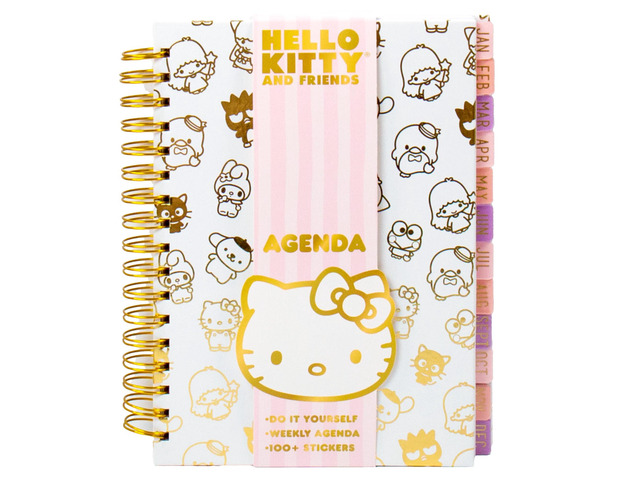 Journal Set, Cute School Supplies, Stationary Kit for Girls, Diary and Accessories, Hello Kitty Pink Gold Foil Journal