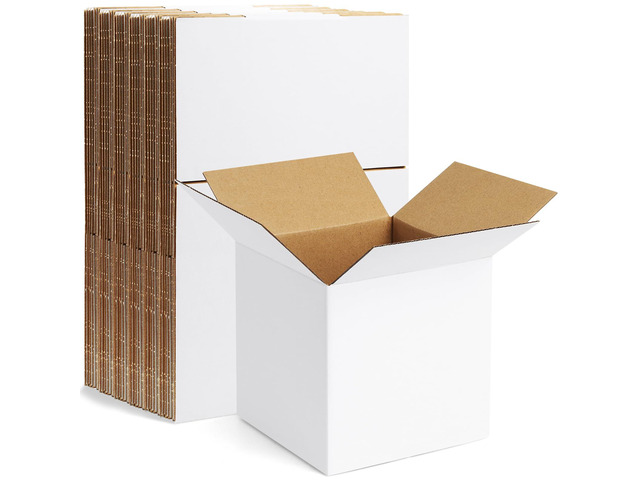 10 Pack 6x6x6 Inch Small Shipping Boxes White Corrugated Cardboard Boxes Mailer for Small Business, Mailing Boxes for Packaging Bulk