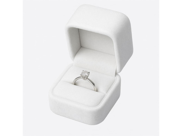 Niche-Finds Premium Velvet Ring Box White Gift Jewelry Box, Compact Jewelry Storage for Rings & Small Jewelry