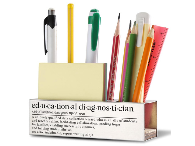 THRXOBN Educational Diagnostician Gifts for Women, Appreciation Gifts for Educational Diagnostician, Appreciation Pen Holder for Men, Stainless...
