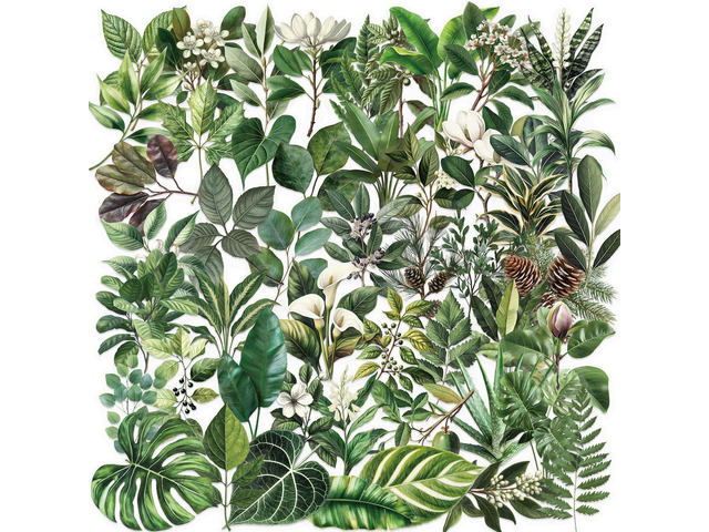 Green Leaf Plants Aesthetic Scrapbook Waterproof Transparent Stickers 50PCS Nature Leaves Flowers Stickers Pack for Water Bottle, Laptop,...