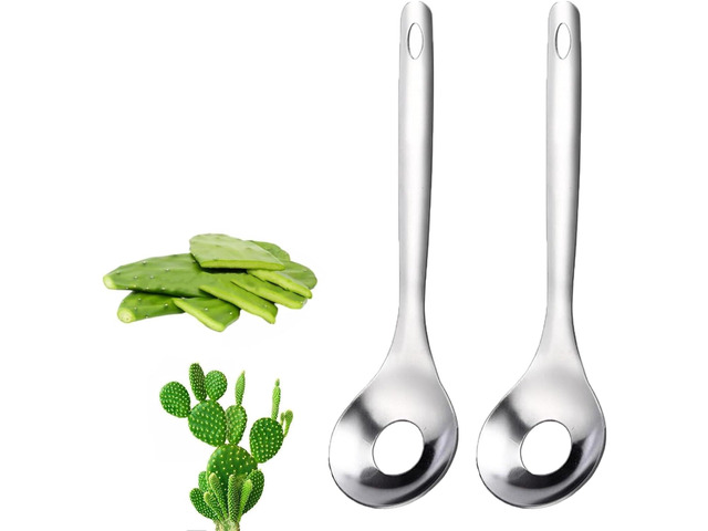 2Pcs Cactus Peeler Spoon, Stainless Steel Rice Meat Dumplings Spoon Squeezing Meatball Artifact Kitchen Tools, Peelers, Graters, Peelers and Slicers