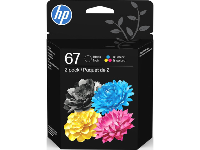 67 Black/Tri-Color Ink Cartridges (2-Pack) Works with DeskJet 1255, 2700, 4100, Envy 6000, 6400 Instant Ink Eligible 3YP29AN Packaging May...
