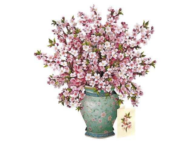 Grande Japanese Cherry Blossoms 20 Inch Life-Sized 3D Pop Up Card Greeting Card, Birthday, Mothers Day, Thank You, Gifts for Mom and Her Includes...