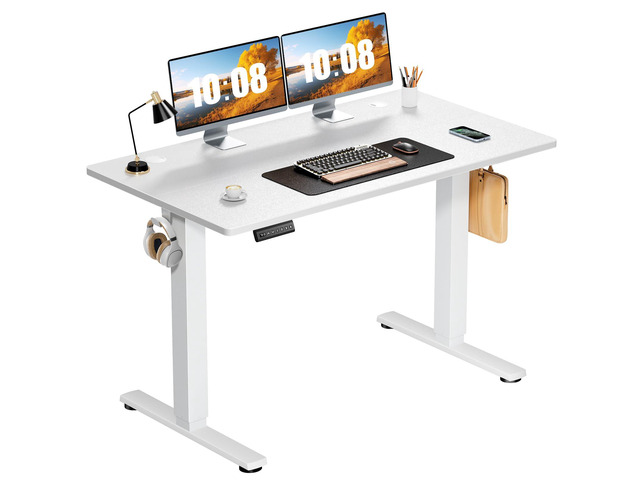 41 Inch Electric Standing Desk, Memory Adjustable Home Office Desk Sit Stand Up Desk for Work Home Office,Adjustable Desk, Rising Computer Table...