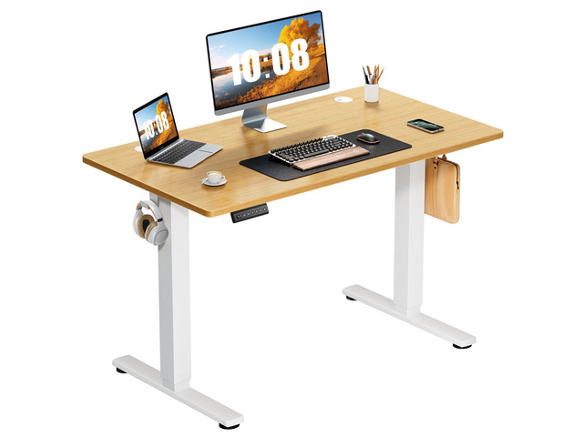 41 Inch Electric Standing Desk, Memory Adjustable Home Office Desk Sit Stand Up Desk for Work Home Office,Adjustable Desk, Rising Computer Table...
