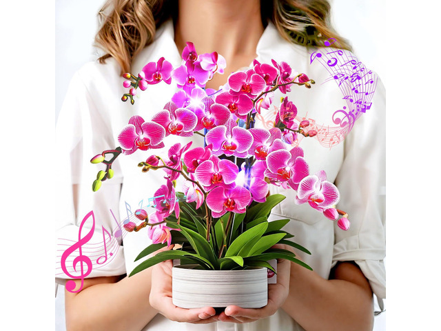Birthday Cards, Thank You Card for Women with Light and Music Orchid Oasis,10 Inch Bouquet Greeting Card, Get Well Soon for Her Wife Mom Daughter...
