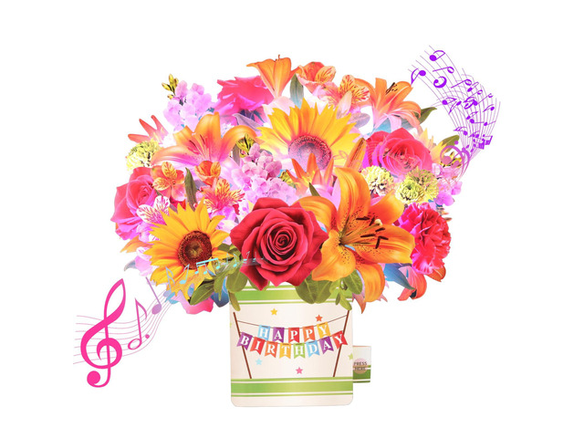 Birthday Cards for Women,Music and Light 10Inch Sunflower Bouquet 3D Popup Birthday Gift Card for Women Mom Wife Daughter Sister(Blank Notecard &...
