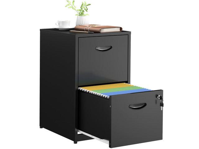 2 Drawer File Cabinets,Metal Office File Cabinet with Lock,Black Filing Cabinet for Home Office,Vertical Modern File Cabinet Office Two Drawers for...