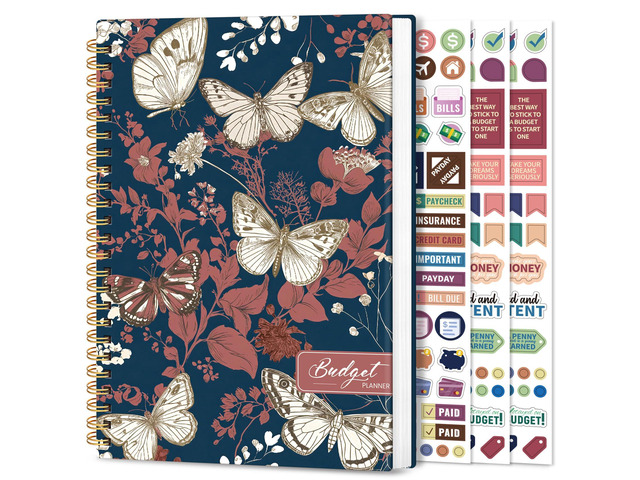 Budget Planner, Undated Budget Book with Expense Tracker, 6.9' x 9.9' Monthly Budget Planner Bill Organizer, Account Book to Track Money and...
