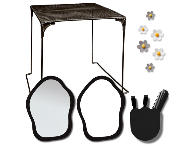 13 pcs Girls Locker Accessories, Locker Decorations Including Mirrors, whiteboards, Magnets and organizing Supplies. Ideal for Back-to-School...