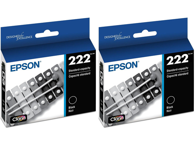 222 Claria Ink Standard Capacity Black Cartridge (T222120-S) Works with Workforce WF-2960,Expression XP-5200,(Pack of 2)