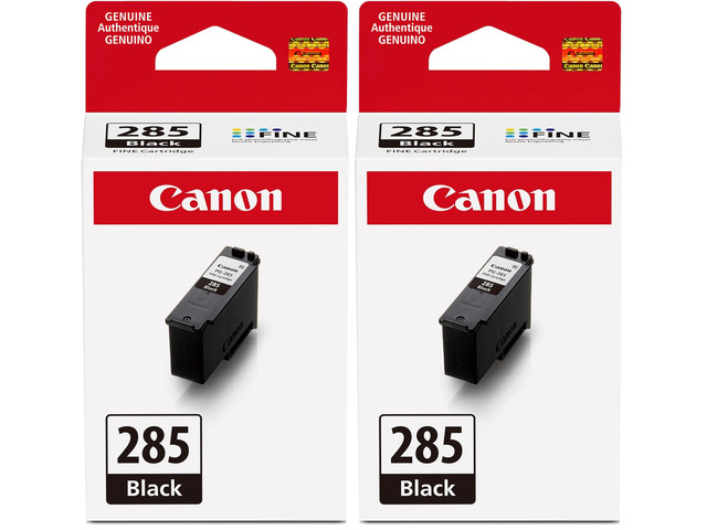 PG-285 Genuine Black Ink Cartridge, Compatible with TR7820, TS7720/7722 (Pack of 2)