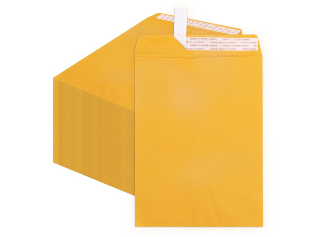 9x12 Manilla Envelopes, 250 Pack Self Seal, Letter Size for Mailing, 100 GSM, Brown Kraft