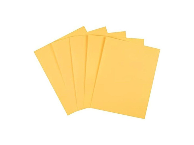 Pastel Colored Copy Paper 8 1/2-Inch x 11-Inch Goldenrod Ream, For Office, School & Home Colored multipurpose paper for office, school & home...