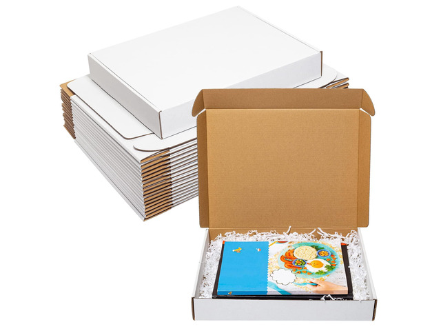 13x10x2 Inches Shipping Boxes 25 Pack Corrugated Cardboard White Box 3 Layers, Medium White Literature Mailer Packaging Supplies, Mailing Boxes for...