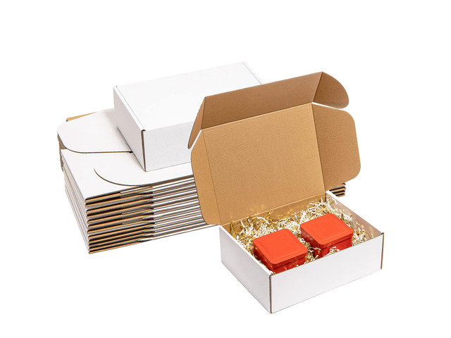 Shipping Boxes 12x9x4 Inches 20 Pack Corrugated Cardboard Mailing Boxes for Small Business - Medium White Literature Mailer Packaging Supplies