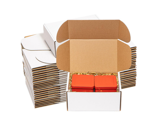 Shipping Boxes 9x6x4' 30 Pack White Corrugated Cardboard Mailing Box Literature Mailer Packaging Supplies Mailing Boxes for Small Business