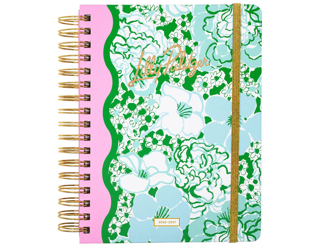 17-Month Large 2026-2027 Planner, Mint Burst of Joy 6.75' x 8.87' Hardcover Agenda with Gold Spiral & Elastic Loop, Weekly & Monthly Layouts,...