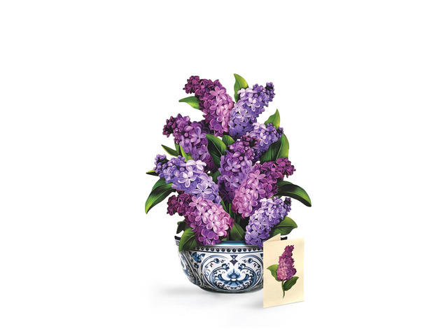 Garden Lilacs 14' Life-Sized 3D Pop Up Card Includes Greeting Card and Envelope Note Card for Birthday, Mother's Day & More, Gifts for Mom & Her