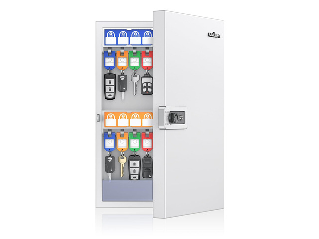 Key Lock Box, Wall Mount Key Box, Car Key Organizer with Writable Key Racks and Tags, 32-Key Combo Lock, White, Security Key Holder Storage Box for...