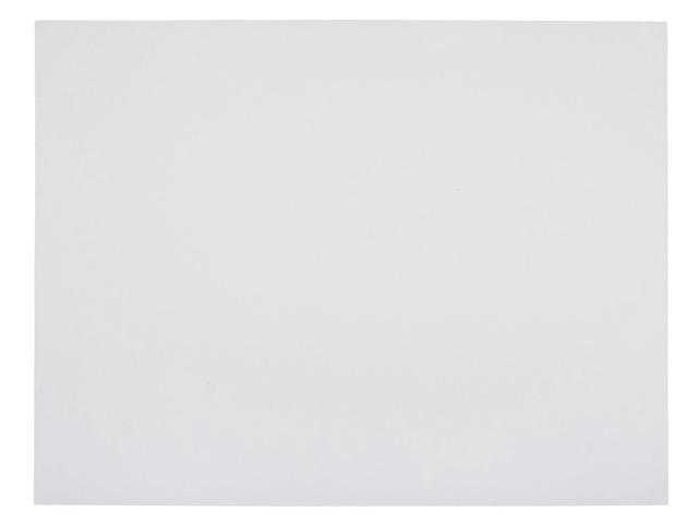 Railroad Poster Board Paper, 22 x 28 Inches, 4-Ply, White, Pack of 25