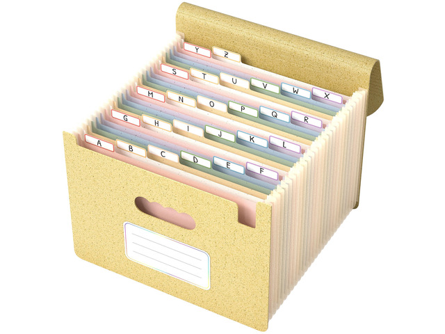 Accordion File Organizer, 26 Pockets File Folders, Dusty Butter Monthly Bill Receipt Documents Organizer, A-Z Colorful Tabs, Letter/A4 Size for...