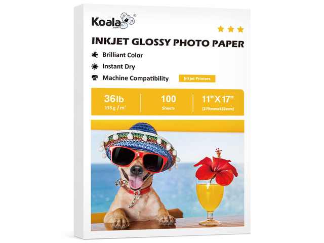 Glossy Thin Inkjet Printer Paper 11x17 Inches 100 Sheets 36LB for DIY Chip Bag and Print Brochure Flyer for Inkjet Printer Use Dye Ink 135gsm