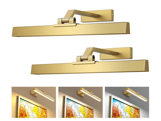Picture Lights for Wall, Brushed Gold Battery Operated Picture Light 16in Art Light CCT Dimmable Recharging Battery Wall Light with Remote Control...