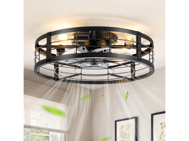 20' Black Caged Low Profile Ceiling Fan with Light and Remote Flush Mount, Bladeless Enclosed Fandelier, 6 Speed, Quiet Powerful DC,...