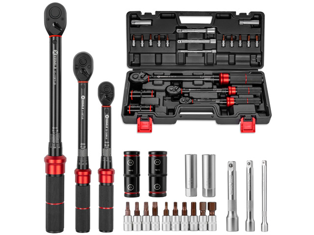 20Pcs 1/4 3/8 1/2-inch Drive Click Torque Wrench Set for Car Moto Inch Pound Torque Wrench with Sockets (20-260 in. lb,5-45 ft. lb,10-170 ft. lb),...