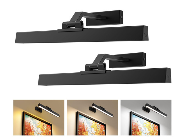 Picture Lights for Wall, Battery Operated Gallery Light 16in for Paintings CCT Dimmable Recharging Battery Wall Lamp with Remote Control for Living...
