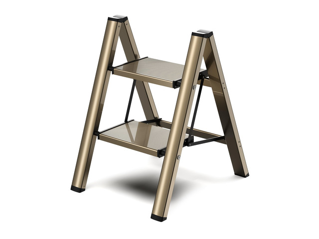2 Step Ladder, Foldable Aluminum Step Stool with Anti-Slip Pedal Lightweight yet Sturdy, Portable, Non Slip Feet, 300Lbs Capacity, Elegant Look,...