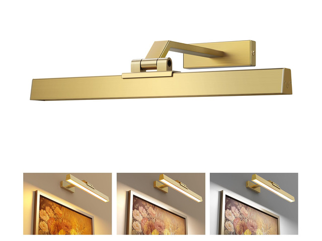 Picture Lights for Wall, Brushed Gold Battery Operated Picture Light 16in Art Light CCT Dimmable Recharging Battery Wall Light with Remote Control...