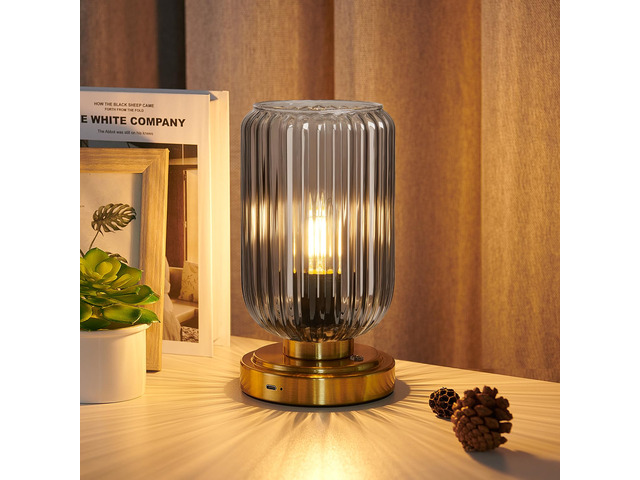 Cordless Table Lamp for Bedroom, Touch Stepless Dimmable 7500mAh Rechargeable Battery, Gray Glass Shade, Brushed Gold Base, Bulb Included, Modern...