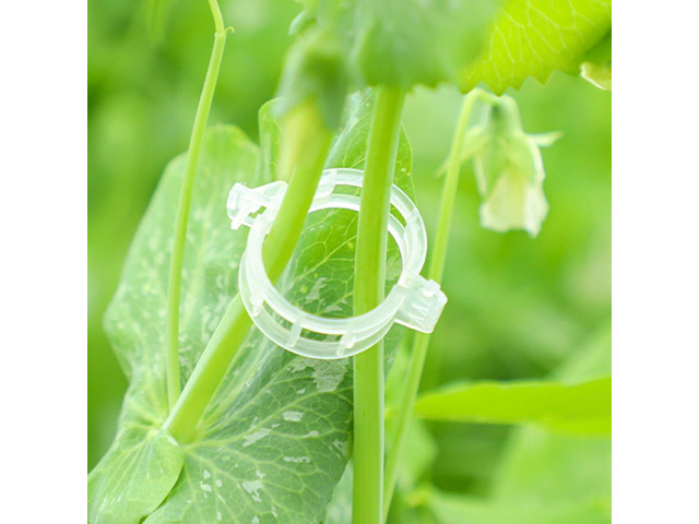 Secured Plastic Plant Clip, Plant Support Clips, Garden Clips for Climbing Plants, Plastic Trellis Clips Plant Support Clips Tomato Grape Vine...