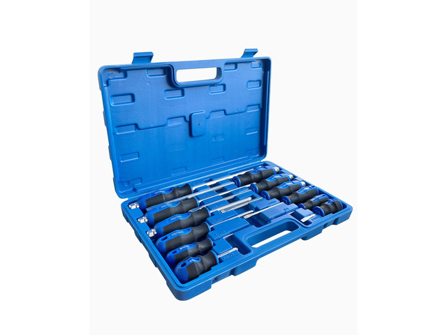 12pc Magnetic Screwdriver Set, 6 Phillip & 6 Flat Nichrome tips Head Screwdrivers, half with Go-Thru Steel Blades, High Torque Silver Tip Gloss Blade