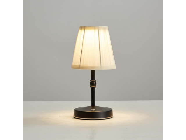 5W LED Cordless Mini Lamp,3000 mah Battery Operated Lamps,3 Color Temperature Dimmable Table Light,Small Rechargeable Lamp,Kitchen Lamps...