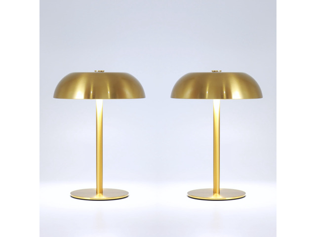 2 Pack Cordless Mushroom Table Lamp, Rechargeable, Dimmable 3 Color, Gold Small, 8.46in, Portable, Easy to Assemble, Metal Structure, Rechargeable,...